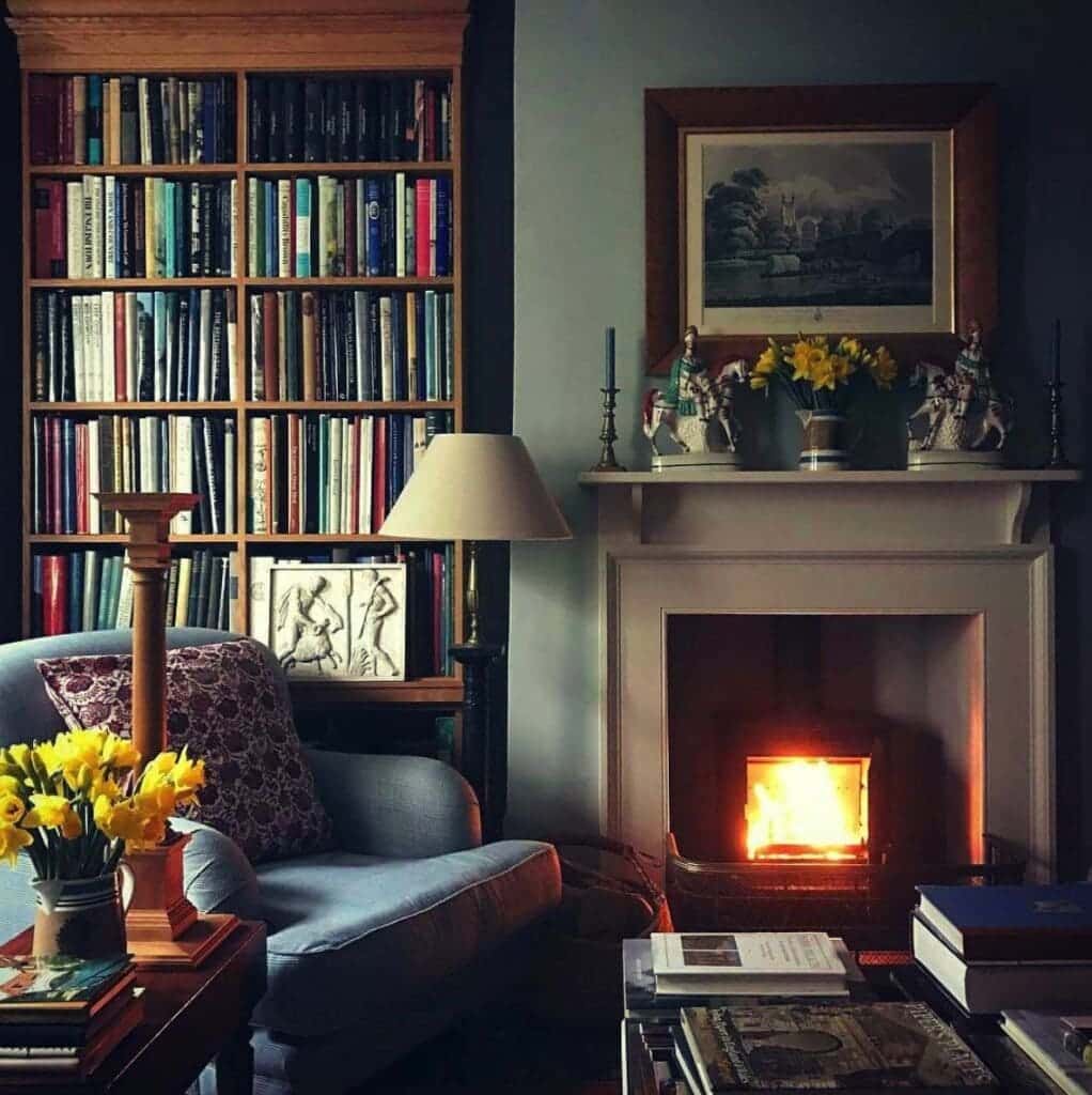 8: Cozy Hearth: Fill Your Living Room with Books and Warmth