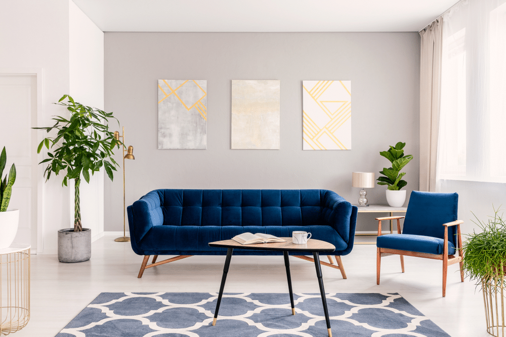 Elegant living room interior with a set of dark blue sofa and armchair