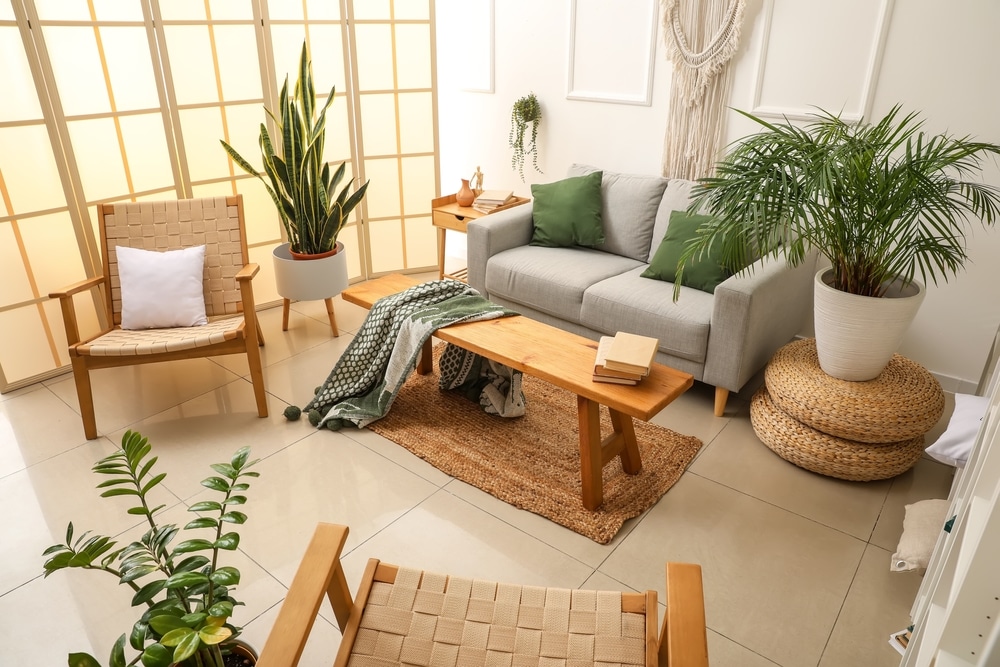 Interior Of Light Living Room With Sofa Chairs And Houseplants