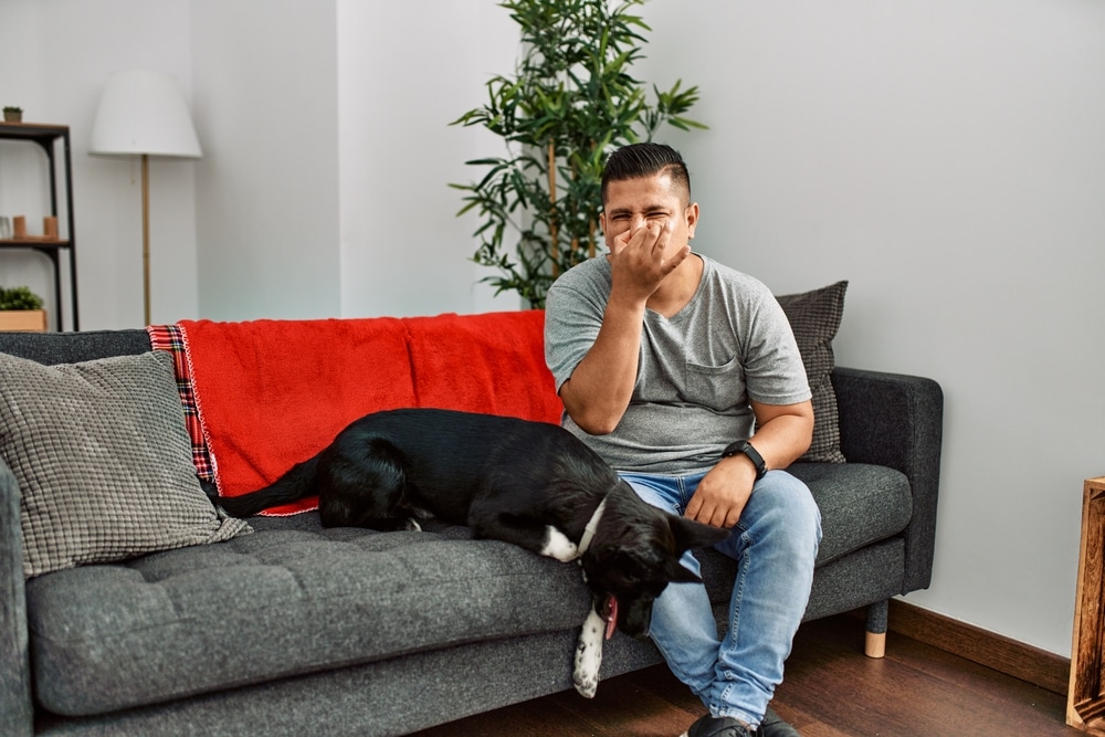 Young Latin Man And Dog Sitting On The Sofa At