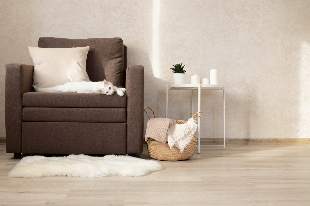 Minimalistic Interior Of The Living Room A White Cat Is